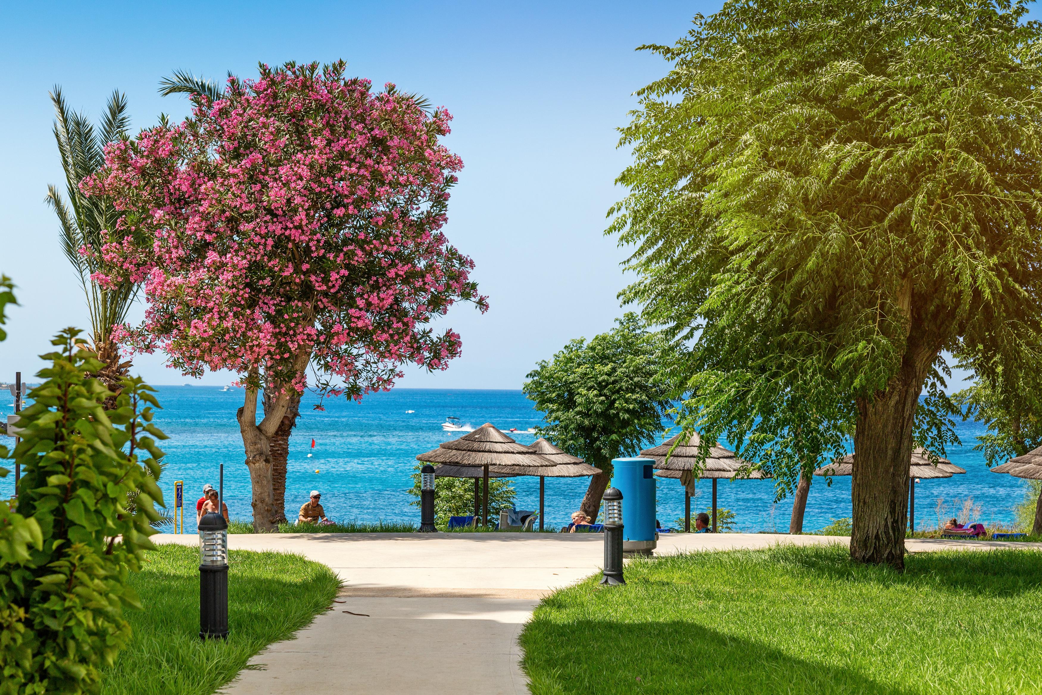 Nausicaa Beach โปรทาราส ภายนอก รูปภาพ